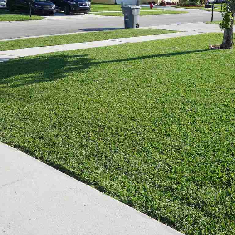 A neatly manicured grassy lawn with a sidewalk running alongside it; a road with parked cars and a garbage bin in the background.