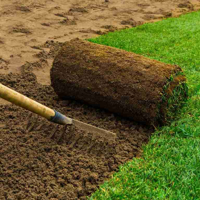 A section of sod being laid on cultivated soil, with a rake smoothing the dirt nearby.