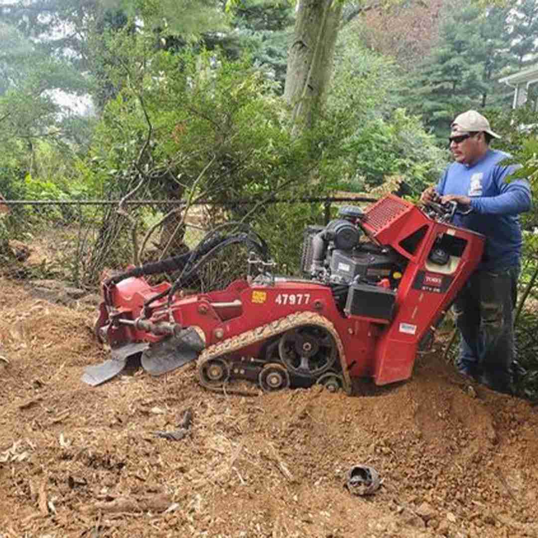 A man operating a red stump grinder in a wooded area.