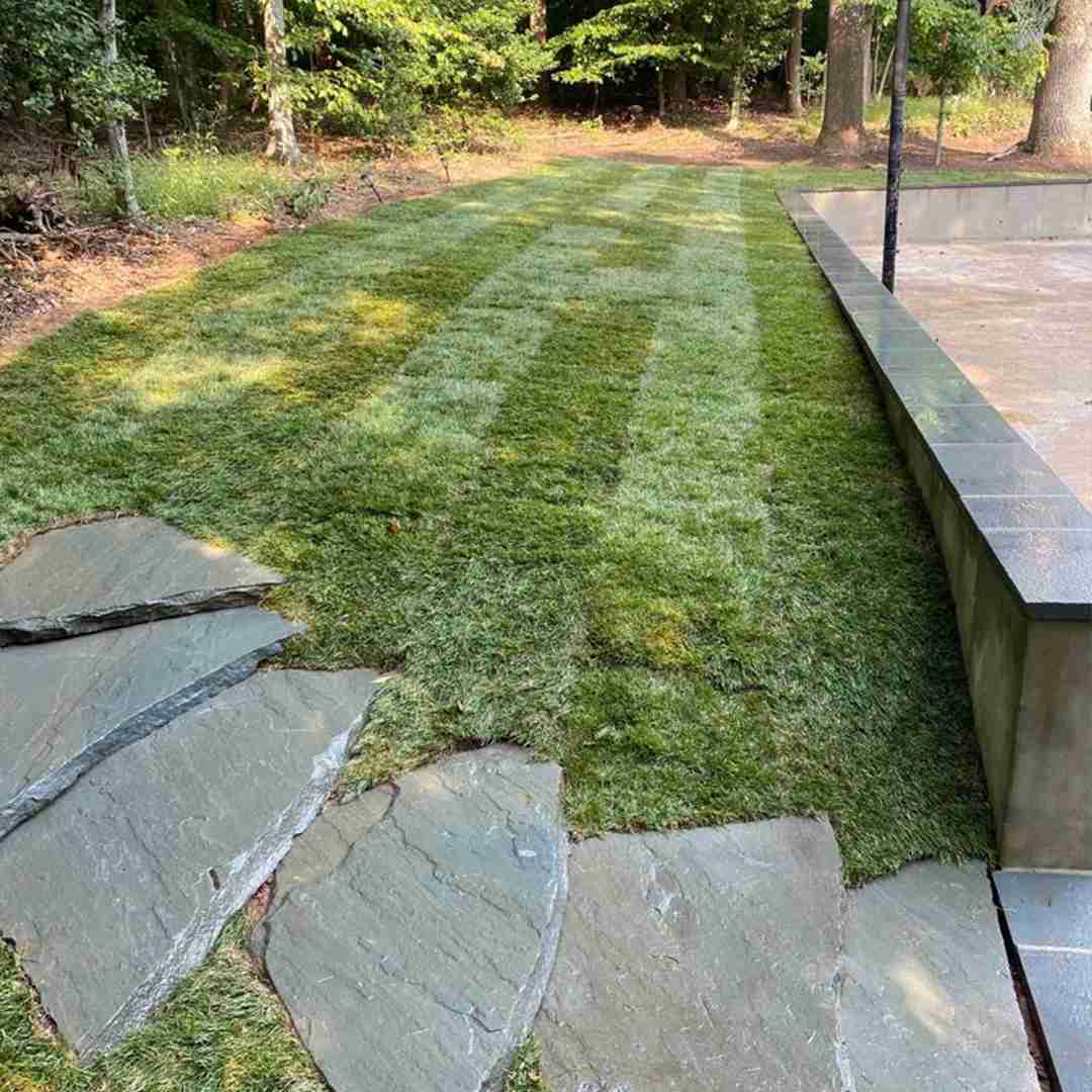 Freshly laid sod with visible seams, adjacent to a stone walkway and a concrete edge, in a wooded area.