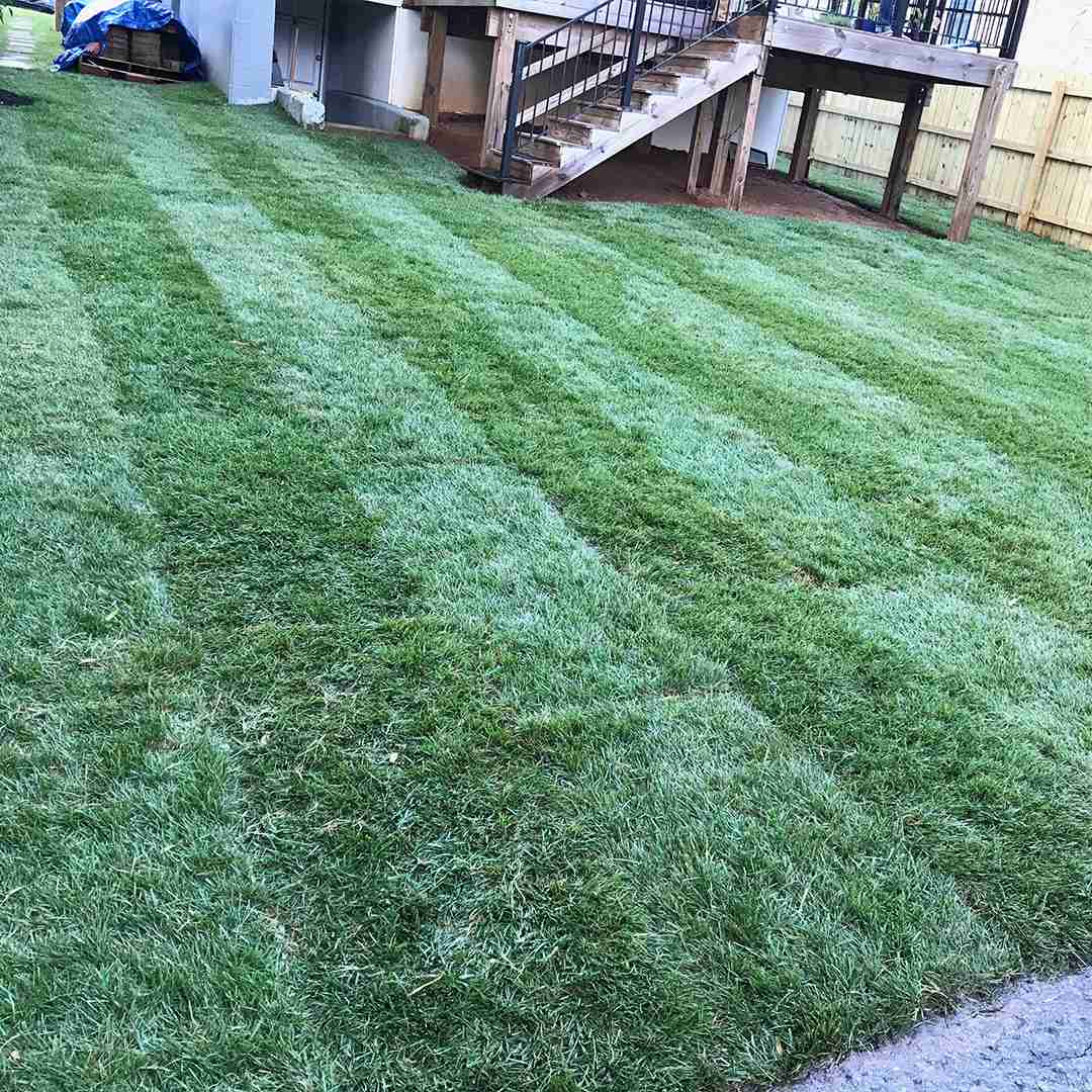 Freshly laid sod with visible seams in a backyard, bordered by a wooden fence and adjacent to a deck with stairs.