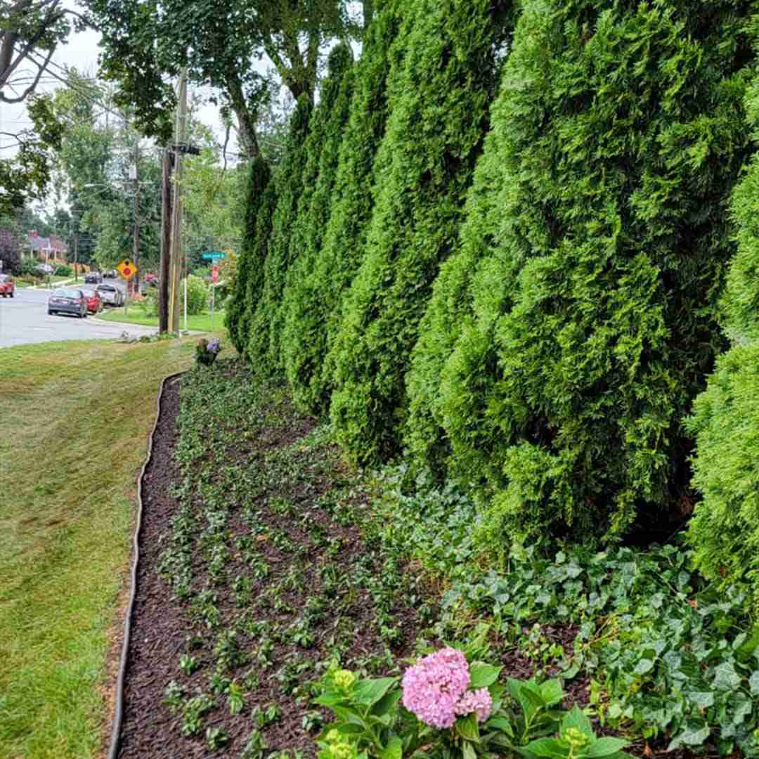 Landscaping Gaithersburg MD