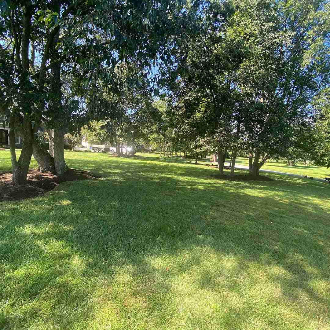 Landscaping Gaithersburg MD