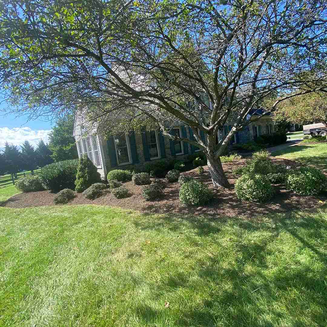 Landscaping Gaithersburg MD
