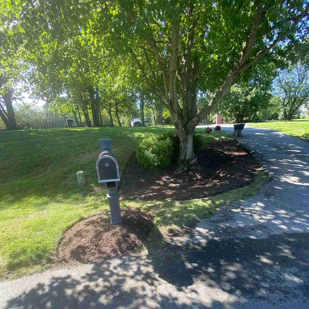 Landscaping Gaithersburg MD
