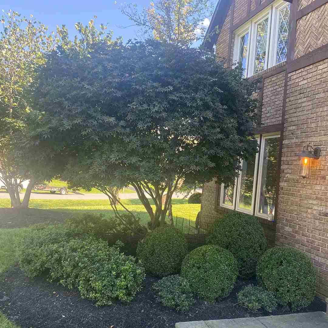 Gaithersburg Landscaping
