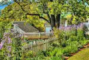 When to Do Spring Yard Clean Up