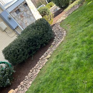 yard drainage company bethesda
