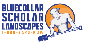 Logo for "Blue Collar Scholar Landscapes" featuring a muscular figure holding a shovel, with an orange circle in the background and contact number 1-888-YARD-NOW.