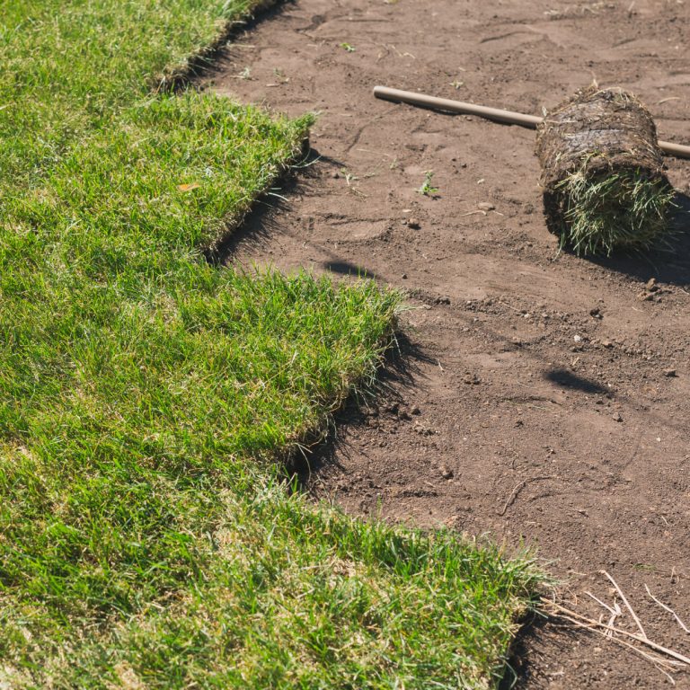 sod installation company near me bethesda md