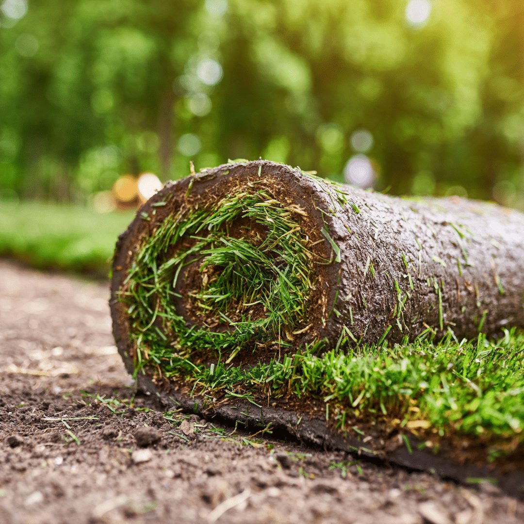 sod installation company near me bethesda md