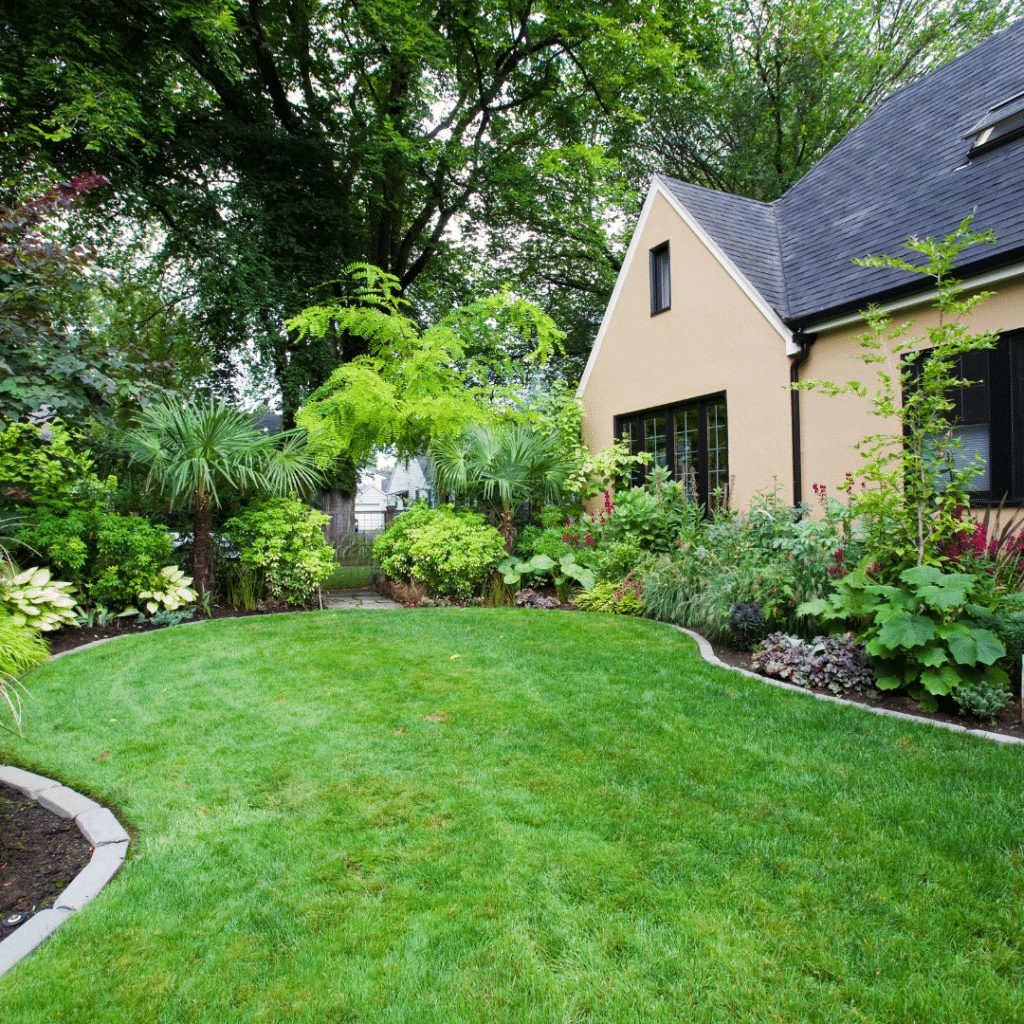 lawn care services chevy chase md