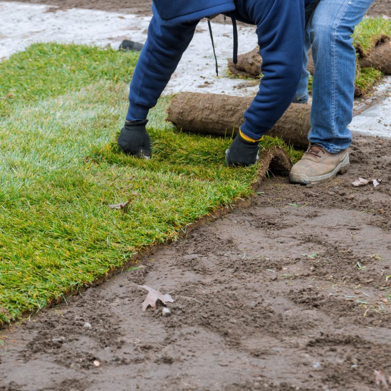 sod installation bethesda md