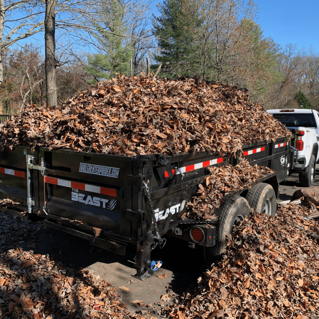 fall clean up