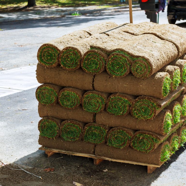 sod installation bethesda md