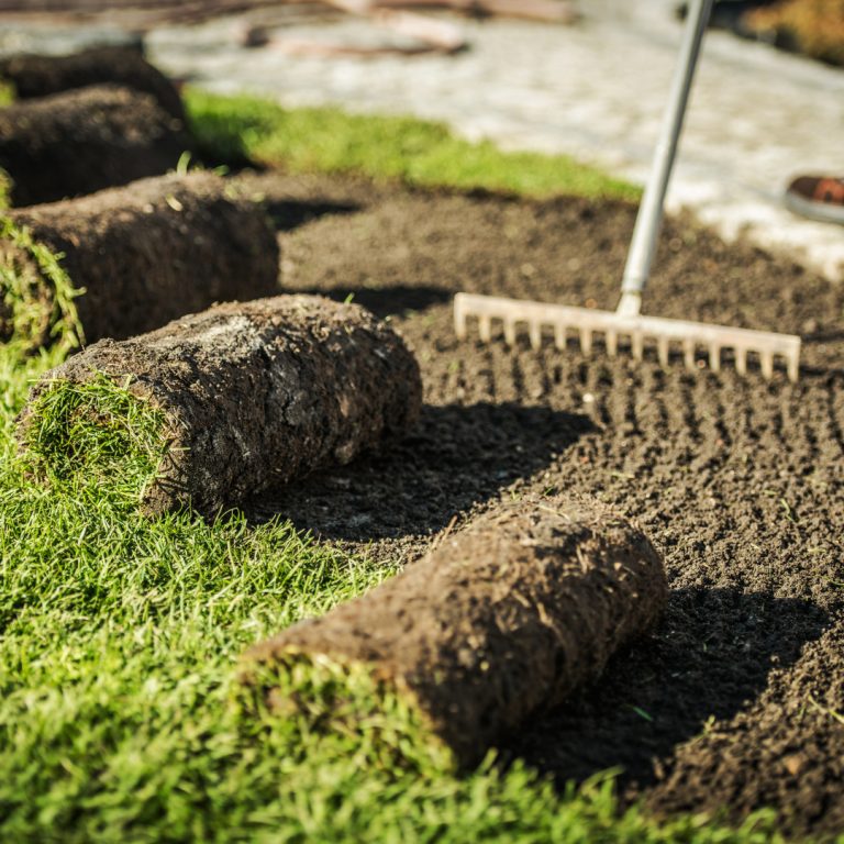 sod installation bethesda md