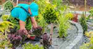 professional landscaping services guide for Maryland homeowners
