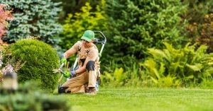 Expert landscape maintenance services