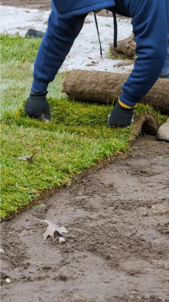 Lawn Care Services Washington, DC
