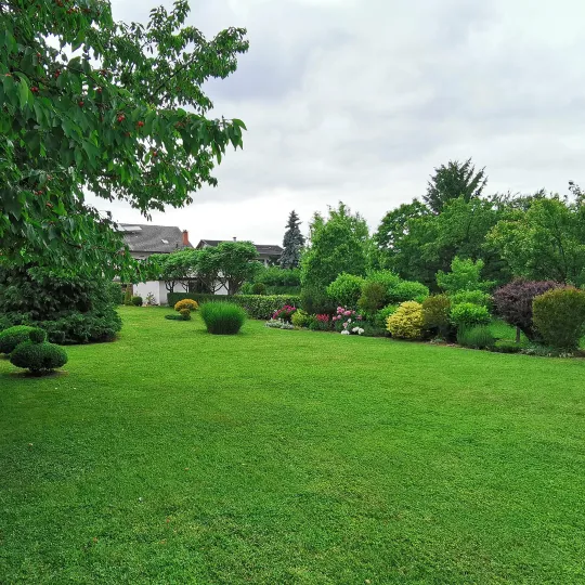 Professional Lawn Care Services in Silver Spring, MD