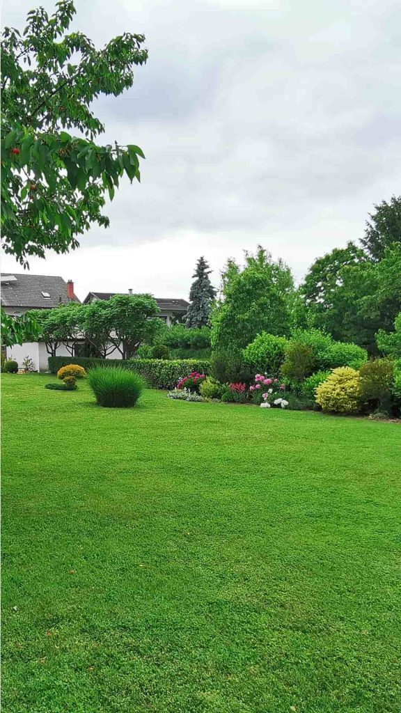landscaping services rockville md