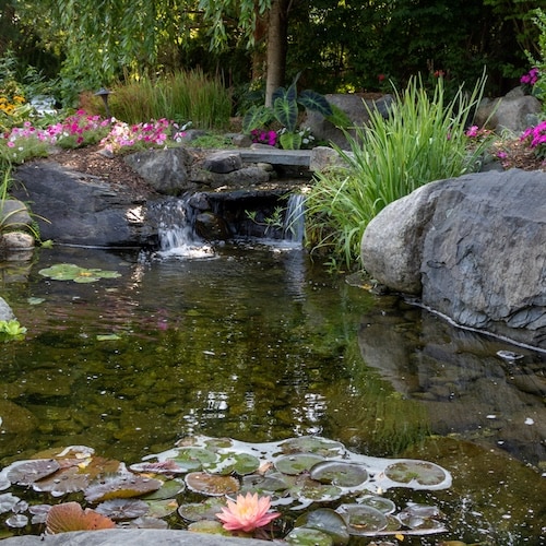 A tranquil garden pond with a small waterfall, surrounded by rocks, lush greenery, and colorful flowers.