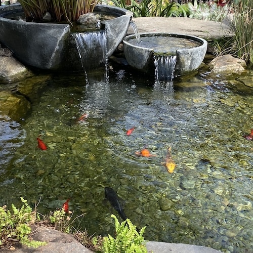 Decorative stone fountain with cascading water flows into a clear pond, home to several colorful koi fish.
