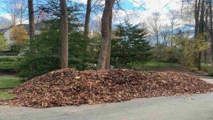 Leaf Removal Job Completed. Waiting for truck to be cleaned up