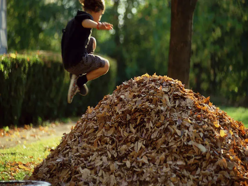 Child jumping into a large pile of autumn leaves in a park.