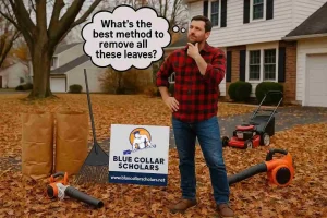Choosing which leaf removal option is difficult