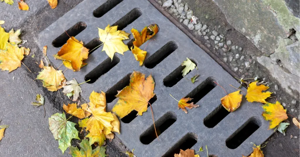Clogged drainage grate with leaves showing importance of landscape drainage solutions for effective water management