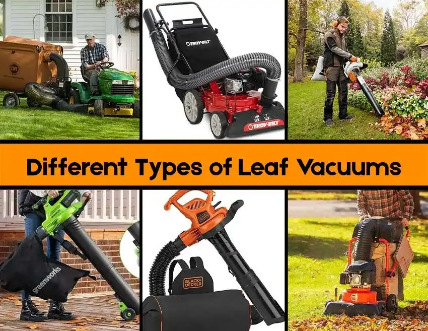 Leaf Removal Method 3: Leaf Vacuum