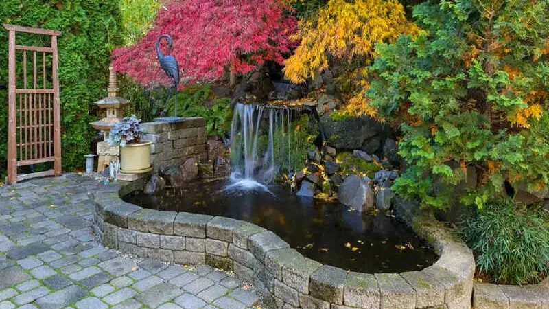 Garden with a small waterfall, pond, colorful trees, and a stone path.