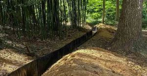 Bamboo Root Barrier