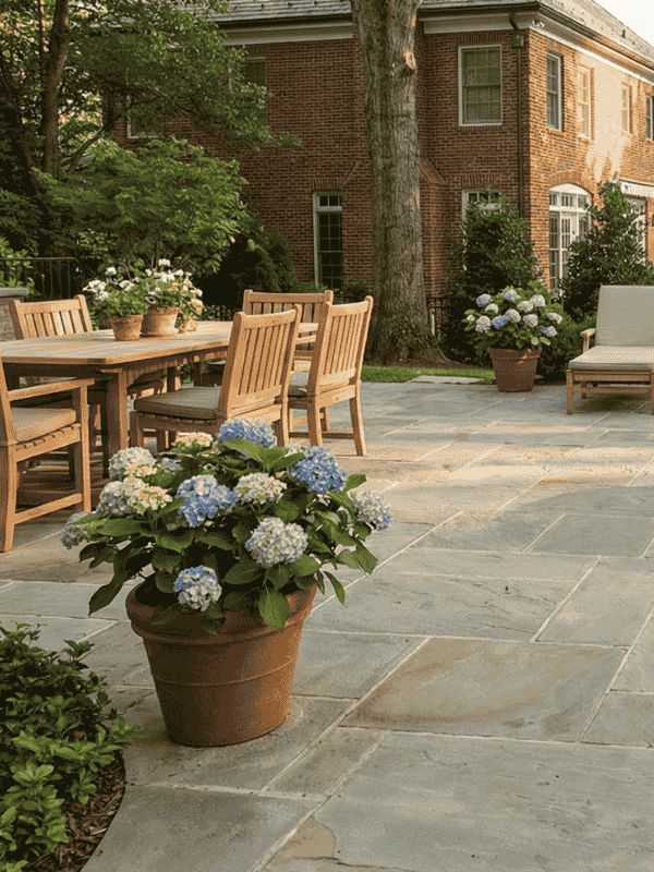 Most patio contractors in Kalorama, DC must follow local requirements related to permits, inspections, and structural standards. These steps help ensure patios are safe, properly supported, and built to perform well over time. Blue Collar Scholars coordinates planning and communication so homeowners remain informed throughout the process. Early discussions often involve evaluating multi level patio designs or determining how the patio should interact with established landscaping and drainage patterns.