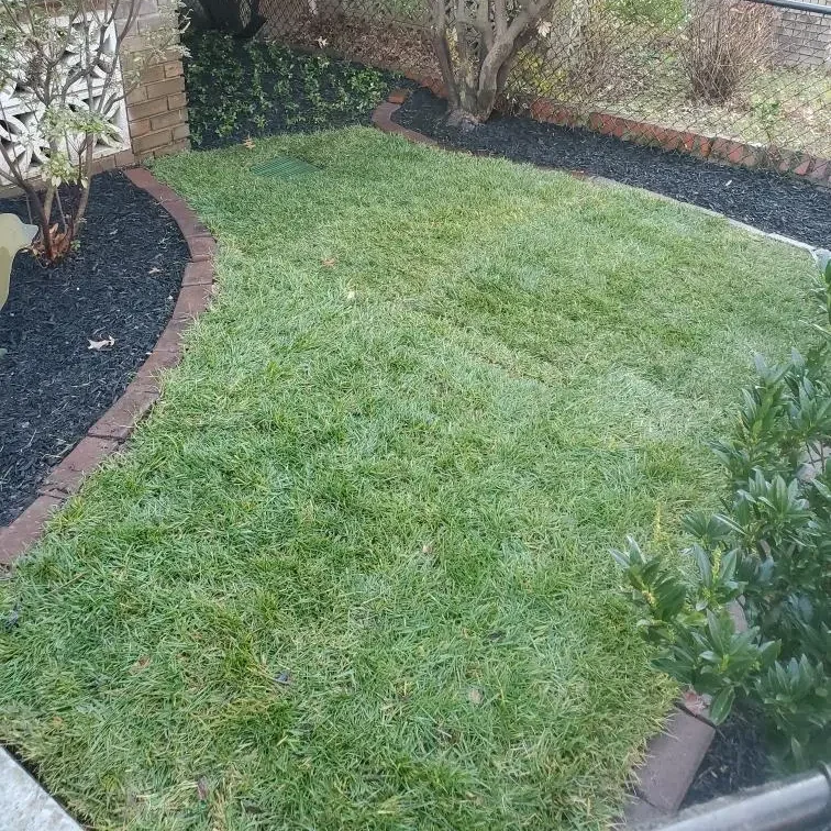 A neatly manicured small lawn featuring a curved brick border and fresh black mulch in the surrounding garden beds.