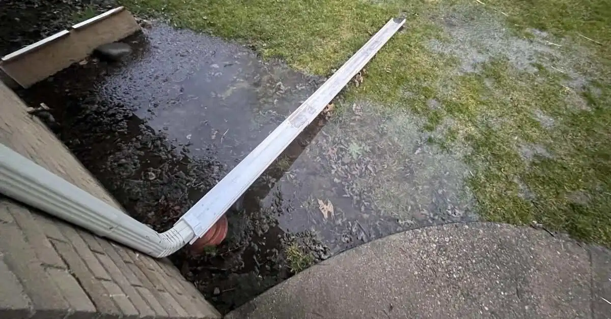 How to Identify Yard Drainage Issues Before They Worsen?