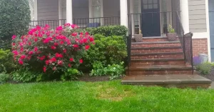 Landscaping mistakes for Maryland homeowners