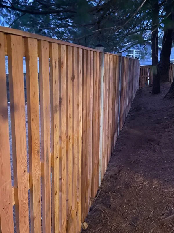 fence at evening time