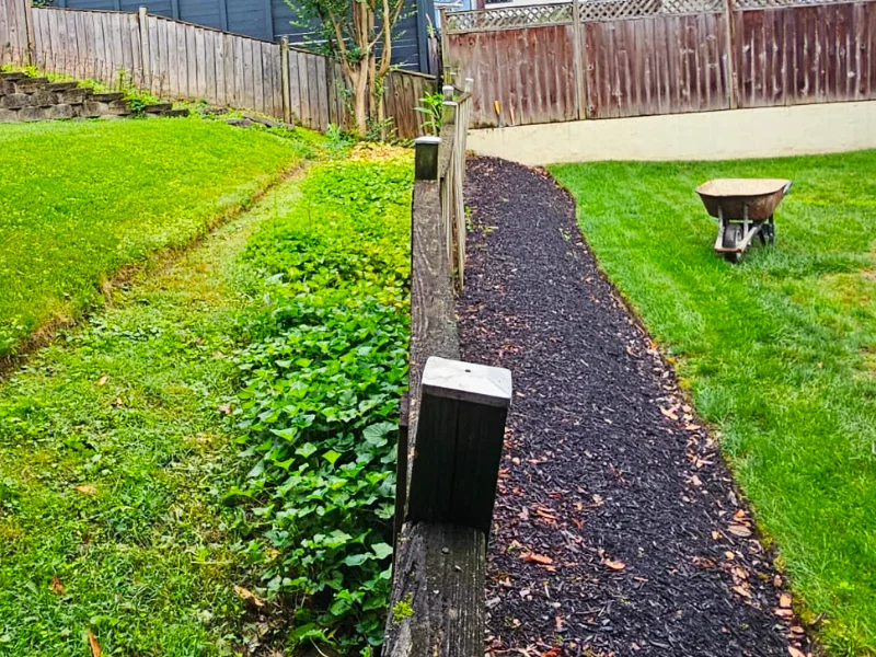 Backyard slope and rear property line before retaining wall installation