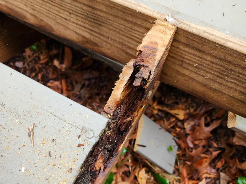 Damaged exterior corner joint with wood rot and peeling paint