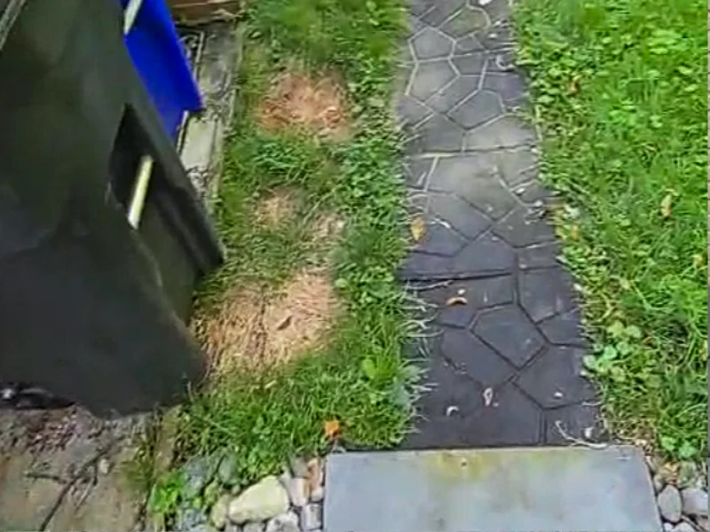 Existing narrow side-yard walkway before new concrete path installation