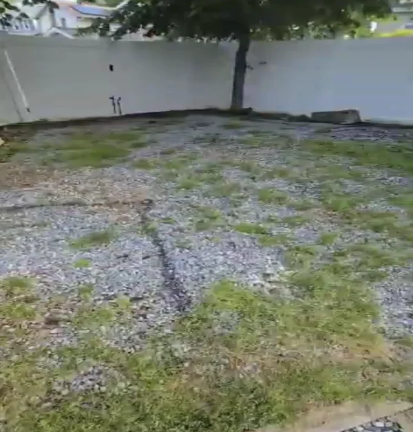 old backyard needing a paver patio repair