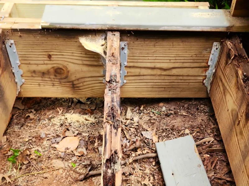 Rotted stair framing exposed before reconstruction