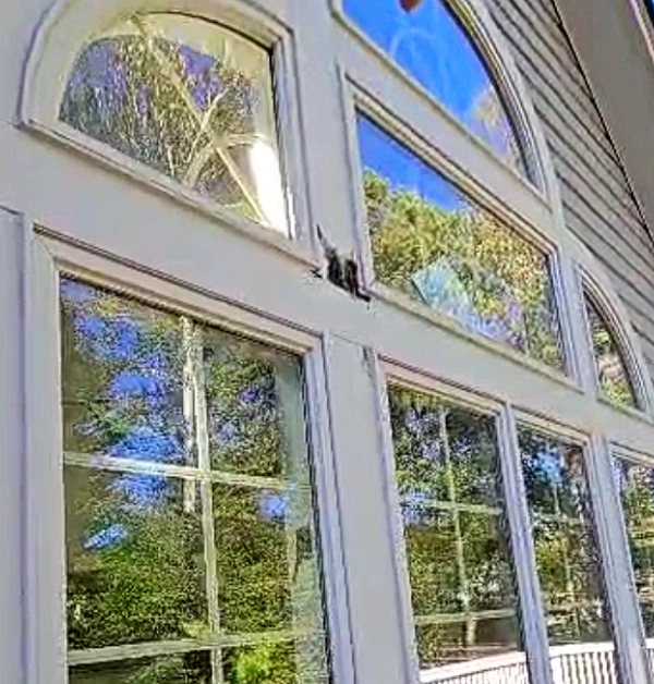 Rotted sunroom trim before repair