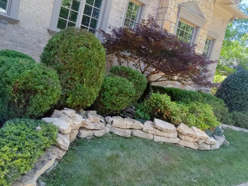Elevated view of stone-bordered landscape beds and shrubs during cleanup work in McLean, VA