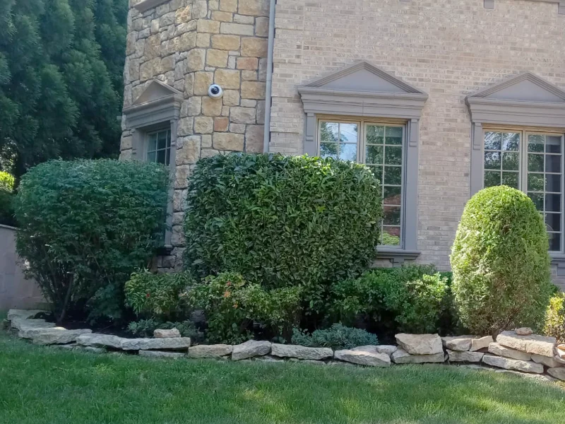 Cleaned and trimmed landscape bushes with refreshed planting beds after maintenance service in McLean, VA
