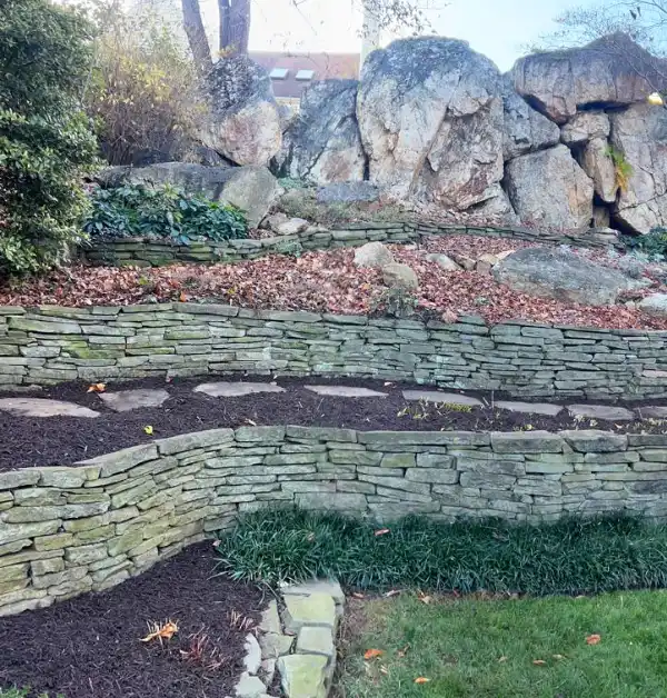 A crisp, direct view of the tiered stone garden beds after a thorough cleanup and the application of rich, dark mulch around the flagstone path and green mondo grass.