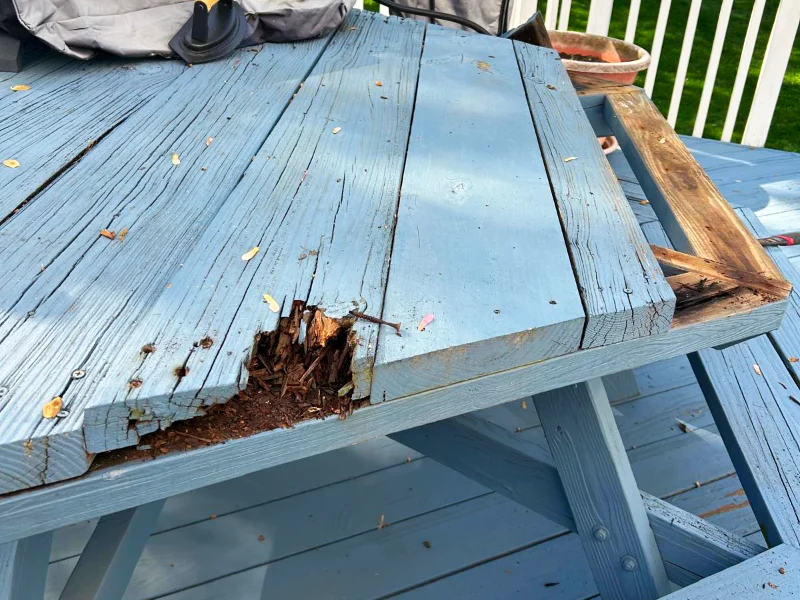Close-up of deteriorated wood on the attached picnic table before repairs and repainting.
