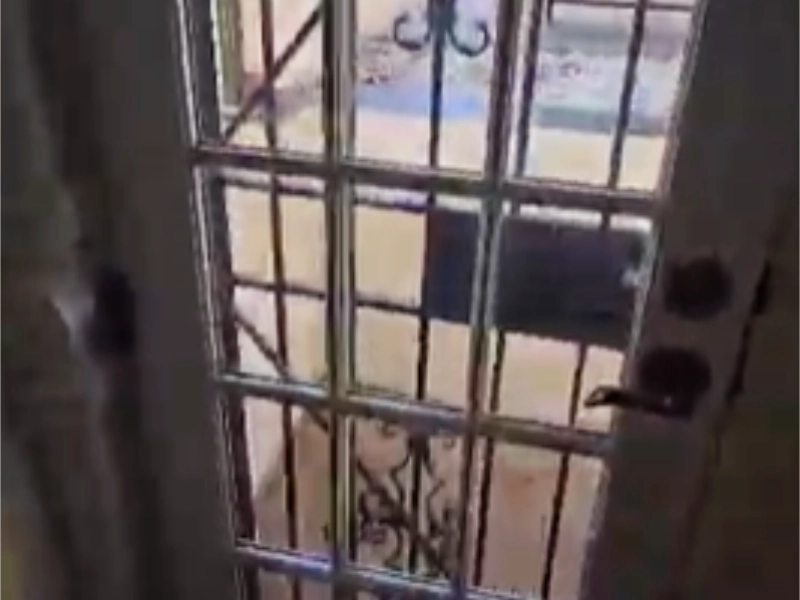 A view from the interior looking out of an old white-trimmed glass French door protected by an exterior black wrought-iron security gate over concrete steps.